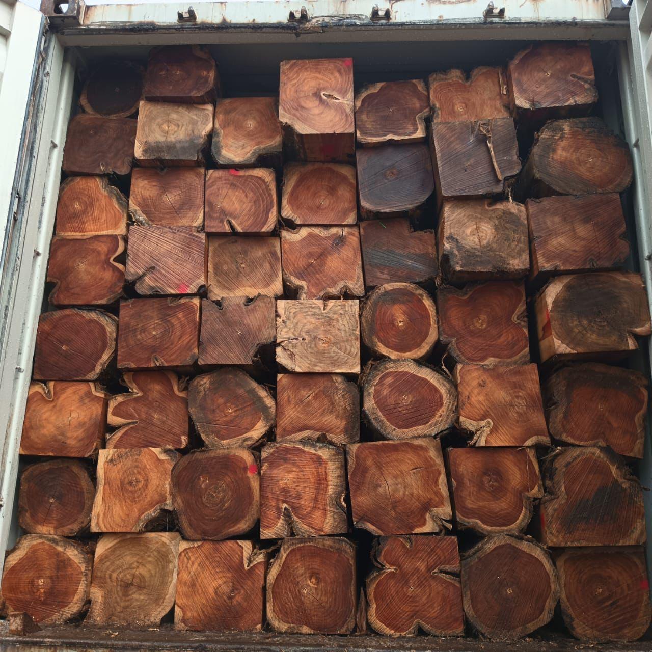 Ecuador Teak 5